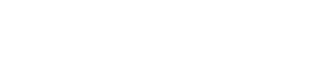 Neuro Serge Logo
