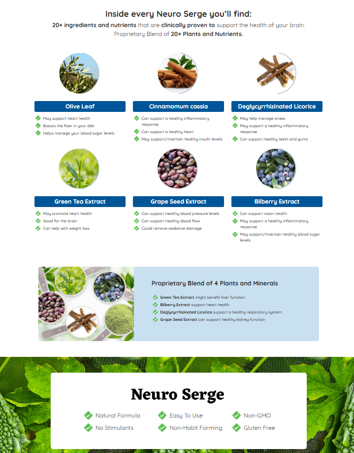 Neuro Serge Ingredients 